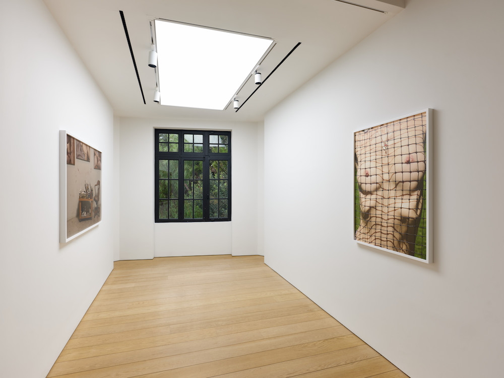 Roe Ethridge Gagosian 