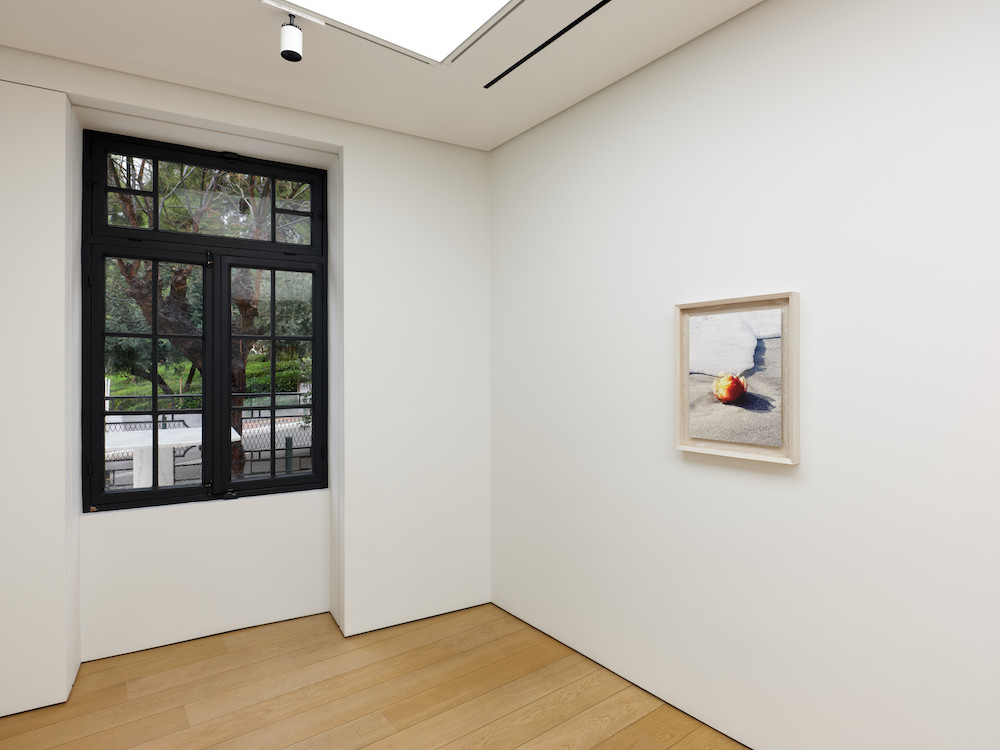 Roe Ethridge Gagosian 