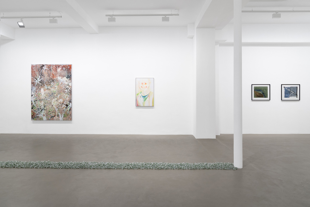  Galerie Chantal Crousel © Marcel Broothaers, Roberto Cuoghi, David Douard, Mimosa Echard, Pierre Huyghe, Jean-Luc Moulène, Mike Kelley, Heimo Zobernig/ADAGP, Paris (2026)