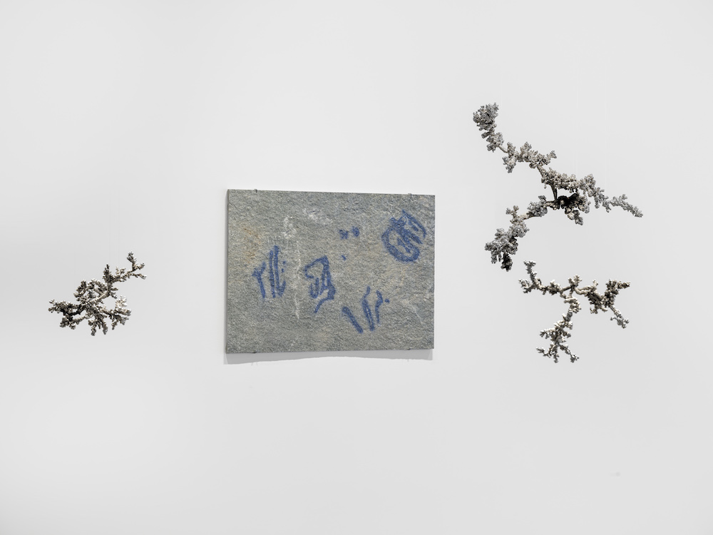 Agnieszka Kurant Marian Goodman Gallery 