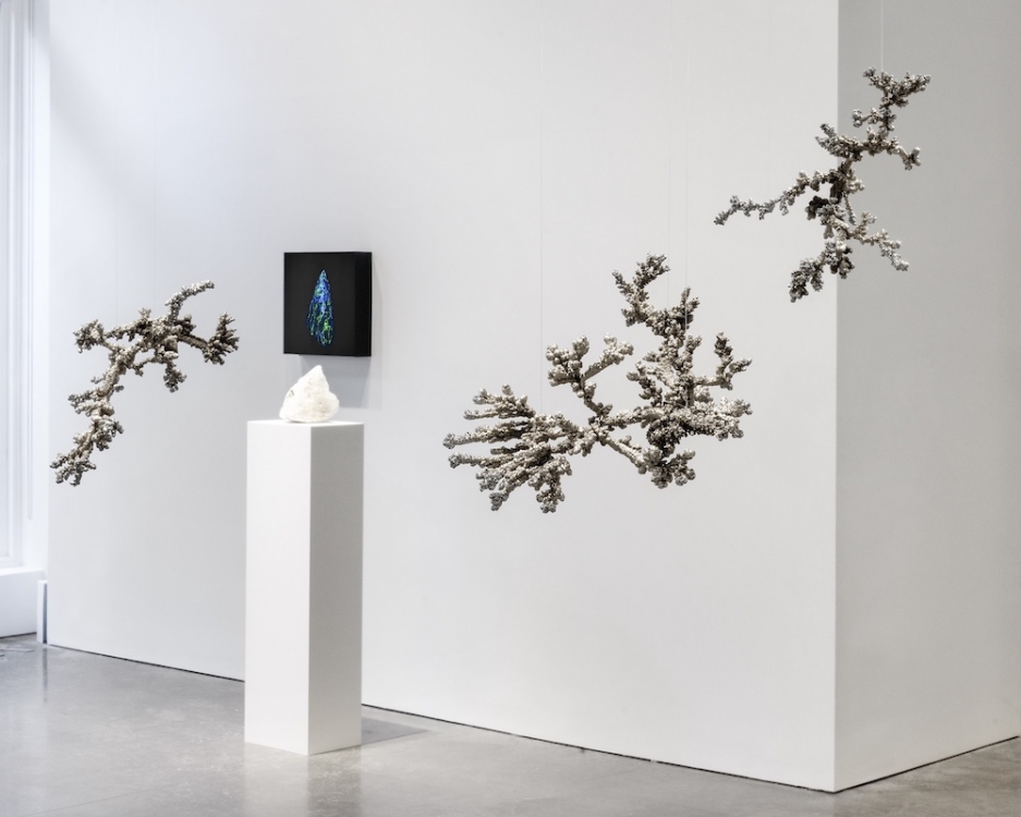 Agnieszka Kurant Marian Goodman Gallery 