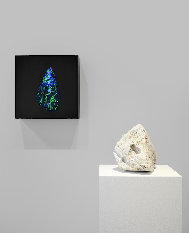 Agnieszka Kurant Marian Goodman Gallery 