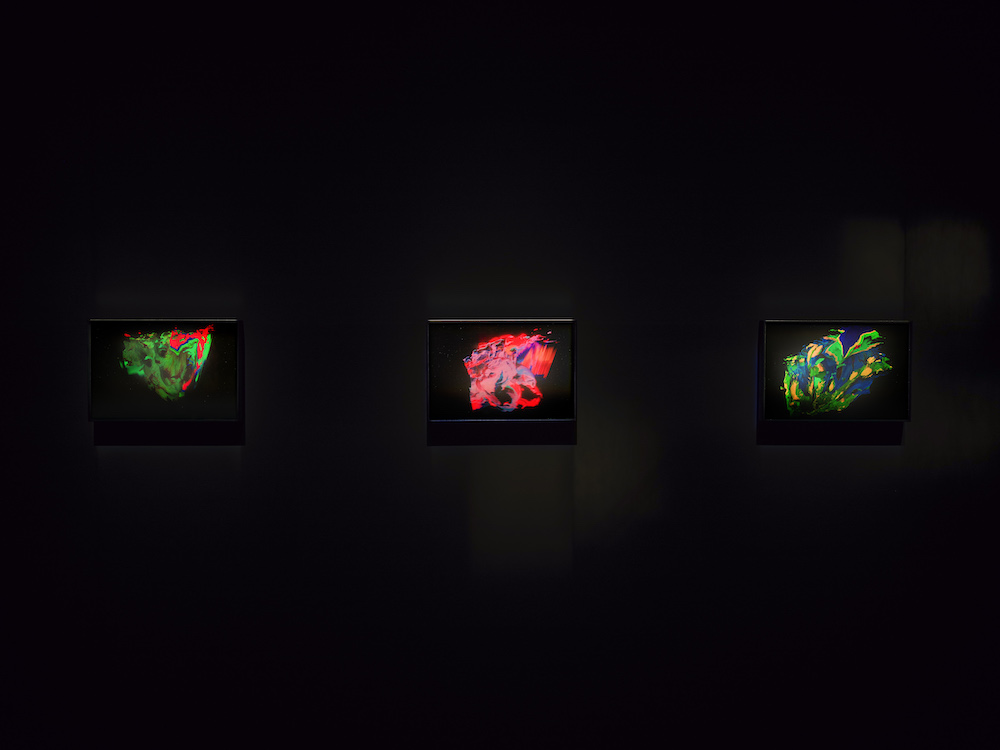 Agnieszka Kurant Marian Goodman Gallery 