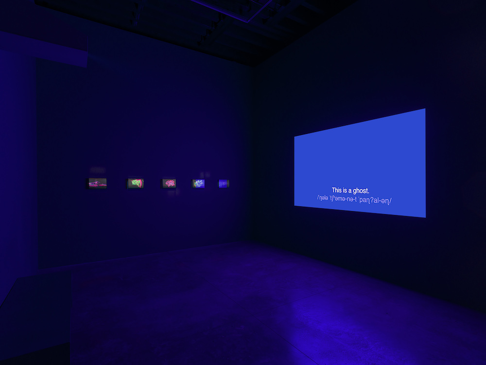 Agnieszka Kurant Marian Goodman Gallery 