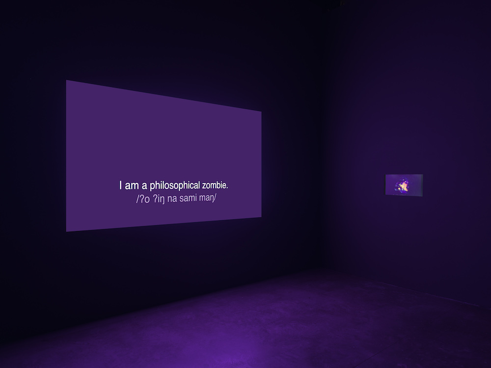 Agnieszka Kurant Marian Goodman Gallery 