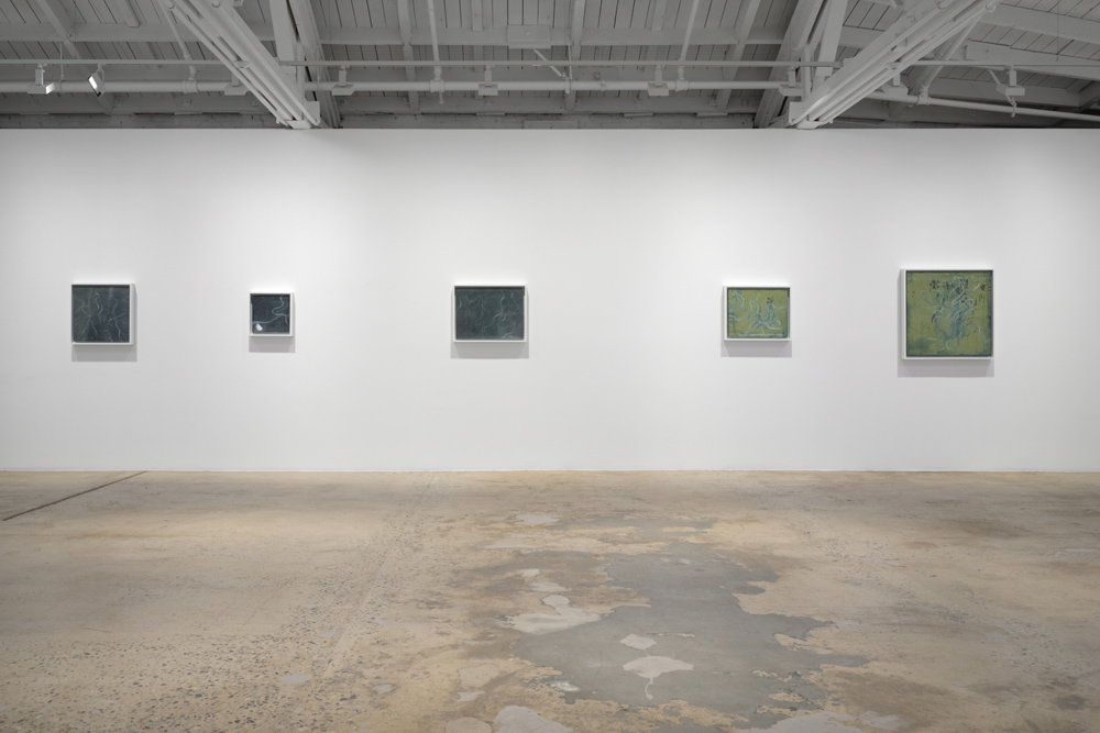 Tacita Dean  Marian Goodman Gallery 