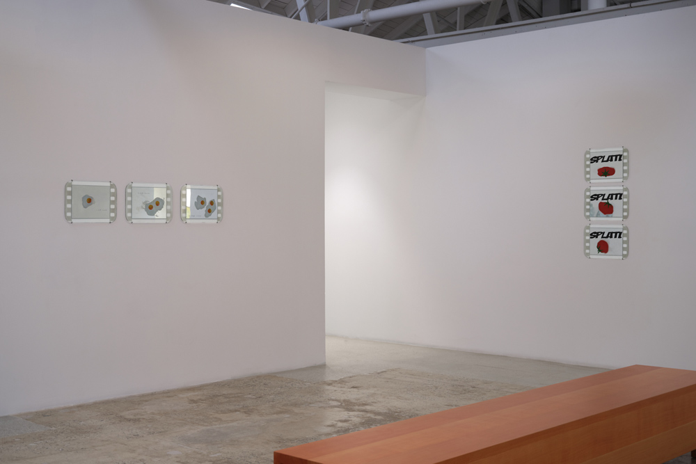 Tacita Dean  Marian Goodman Gallery 