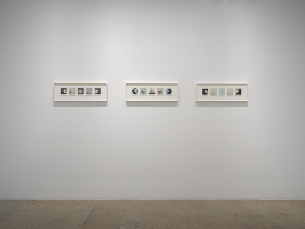 Tacita Dean  Marian Goodman Gallery 