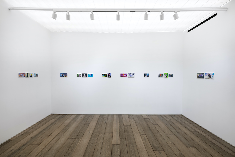 Robert Devriendt Loevenbruck 