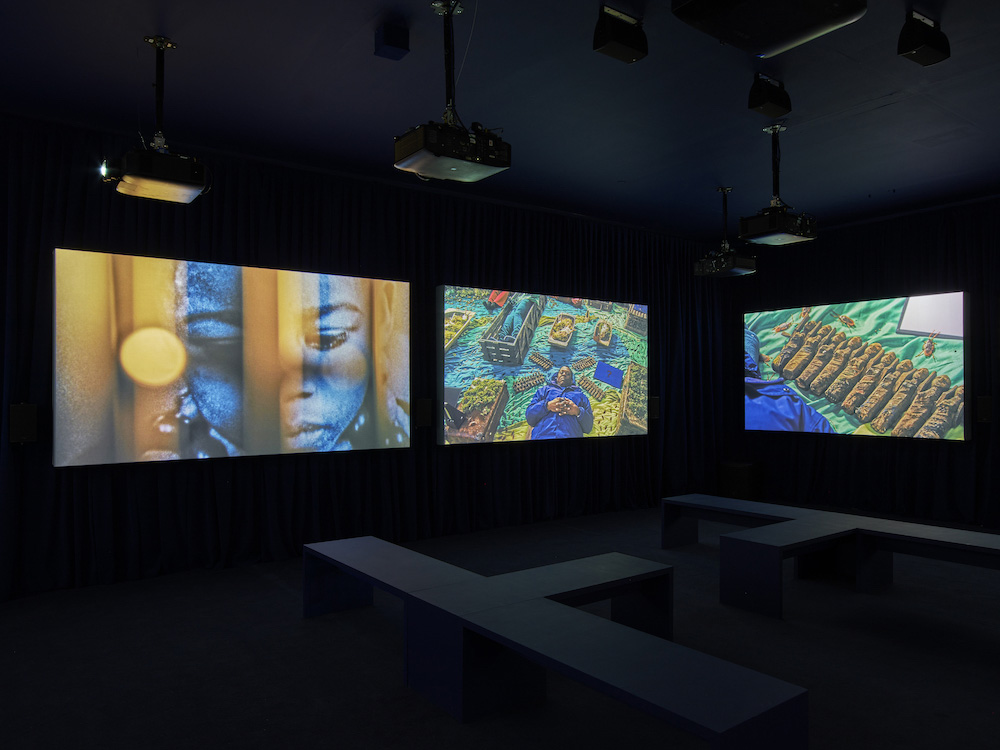 John Akomfrah Lisson Gallery 