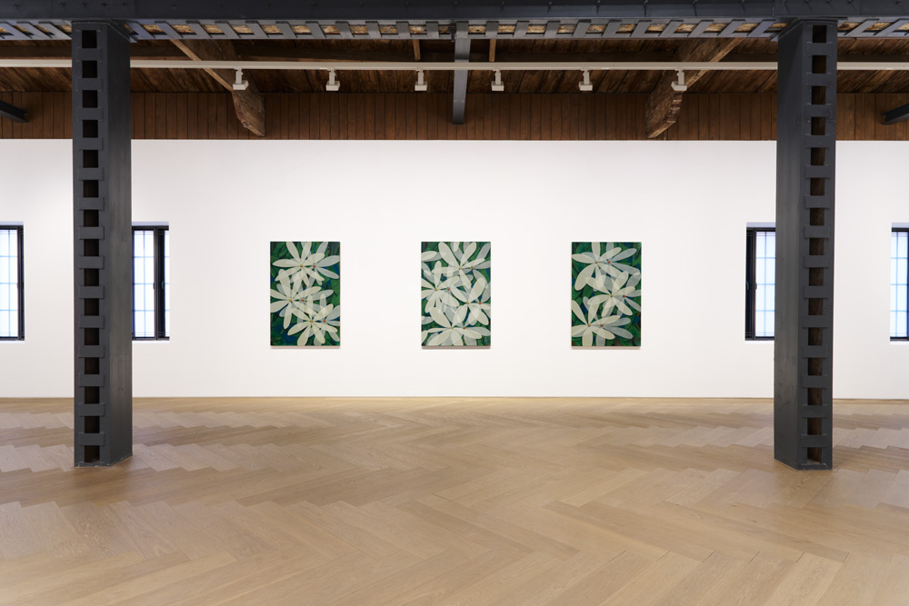 Ryan Mrozowski Perrotin 