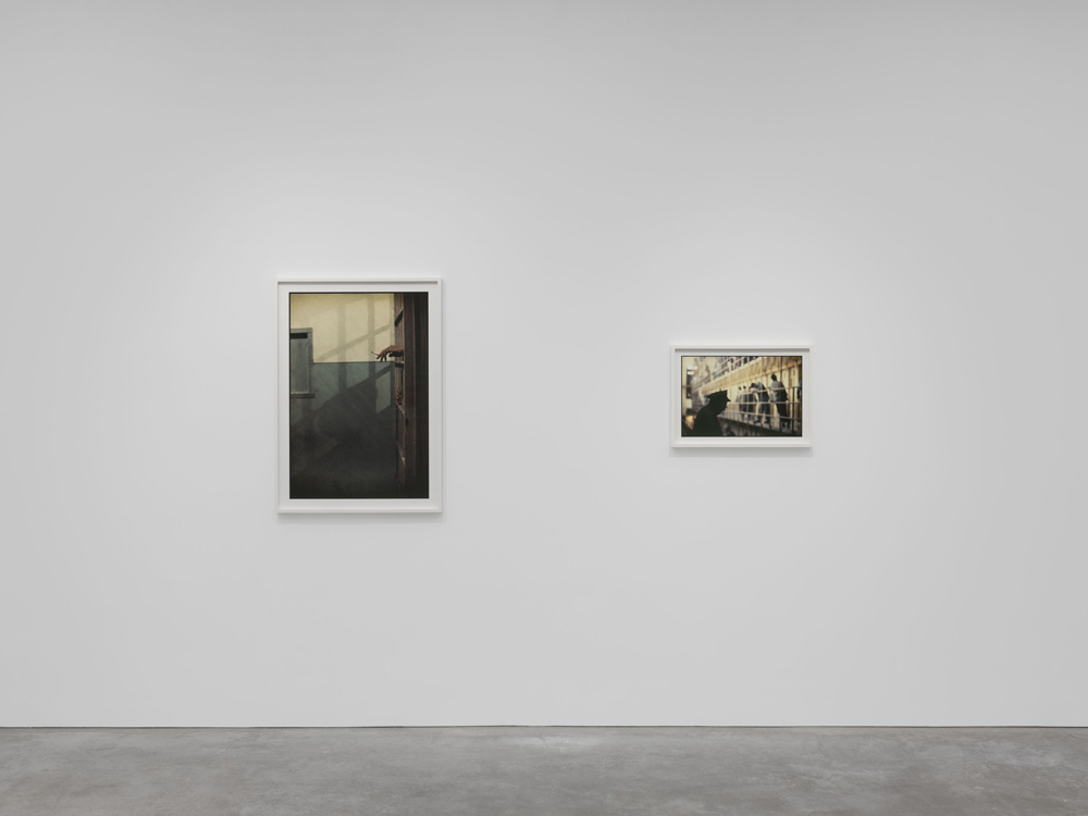 Gordon Parks Alison Jacques 