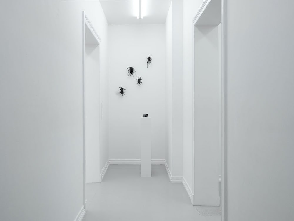 Tone Vigeland Galleri Riis 