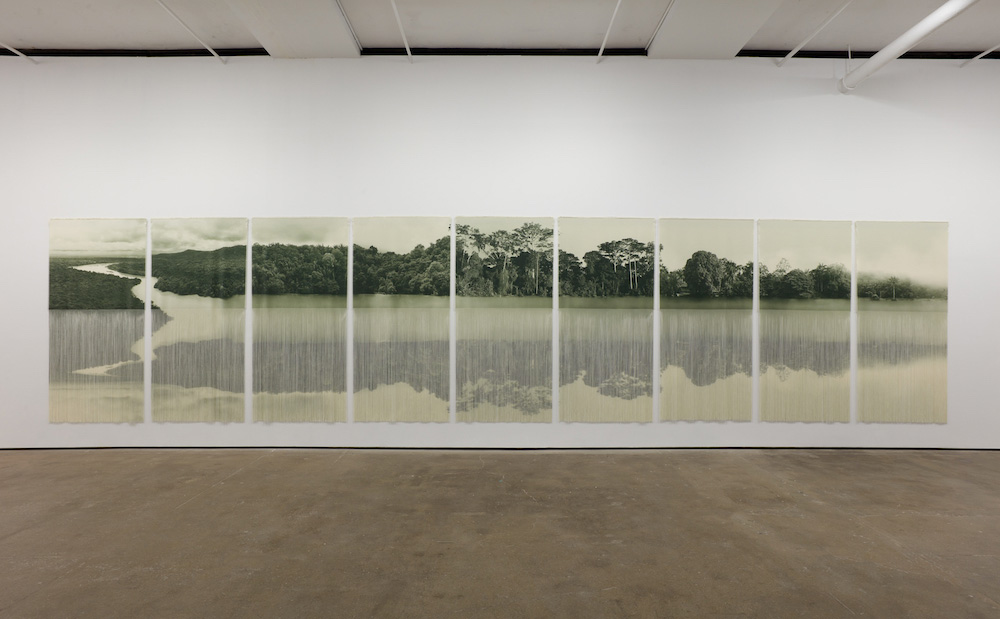 Ana González Sean Kelly 