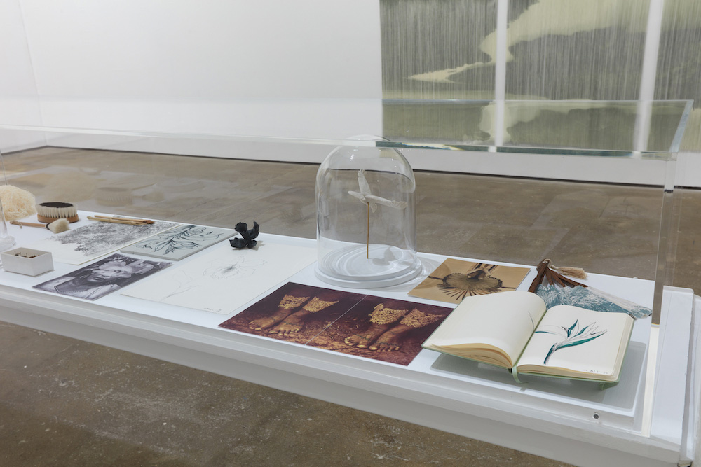 Ana González Sean Kelly 