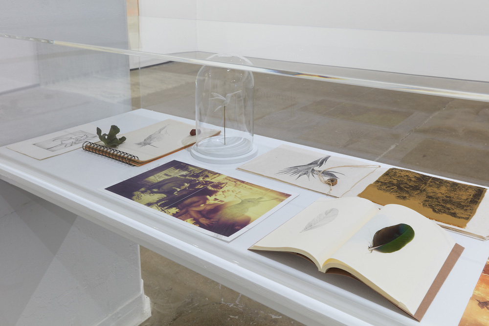 Ana González Sean Kelly 