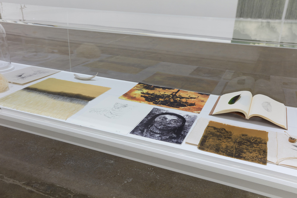 Ana González Sean Kelly 