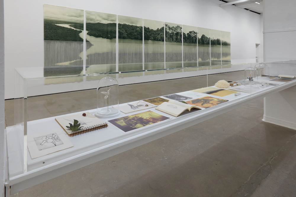 Ana González Sean Kelly 