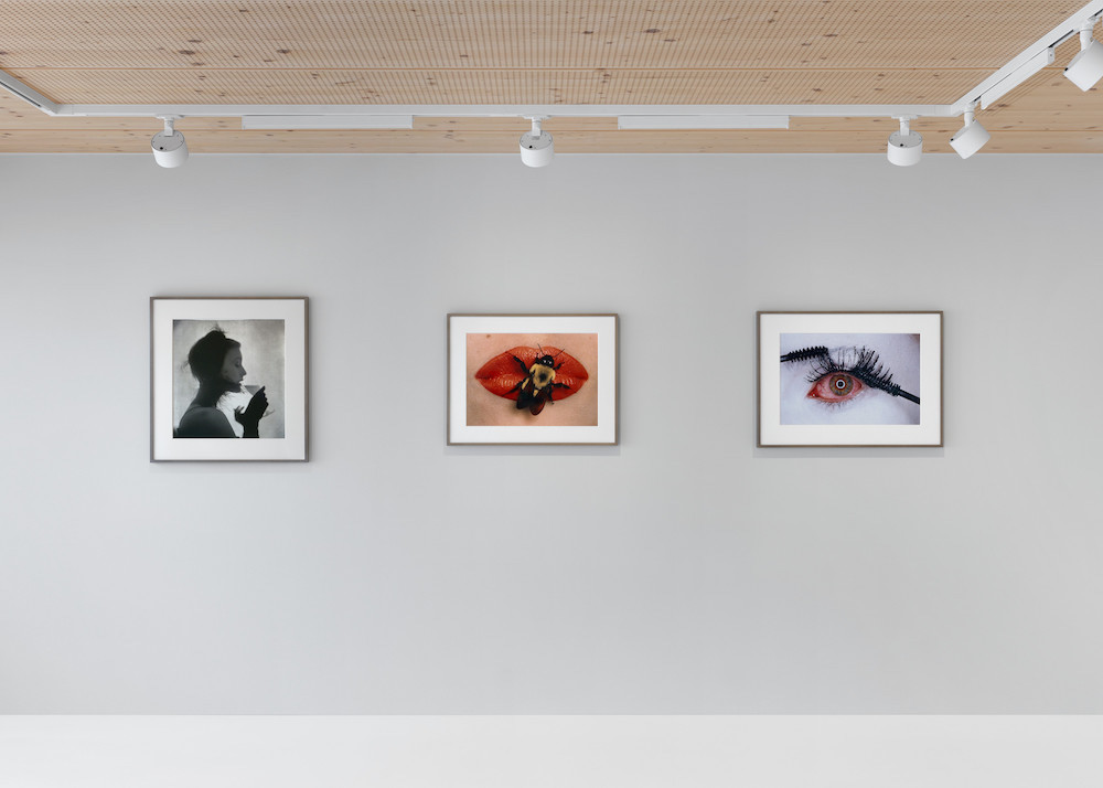 Irving Penn Gagosian 