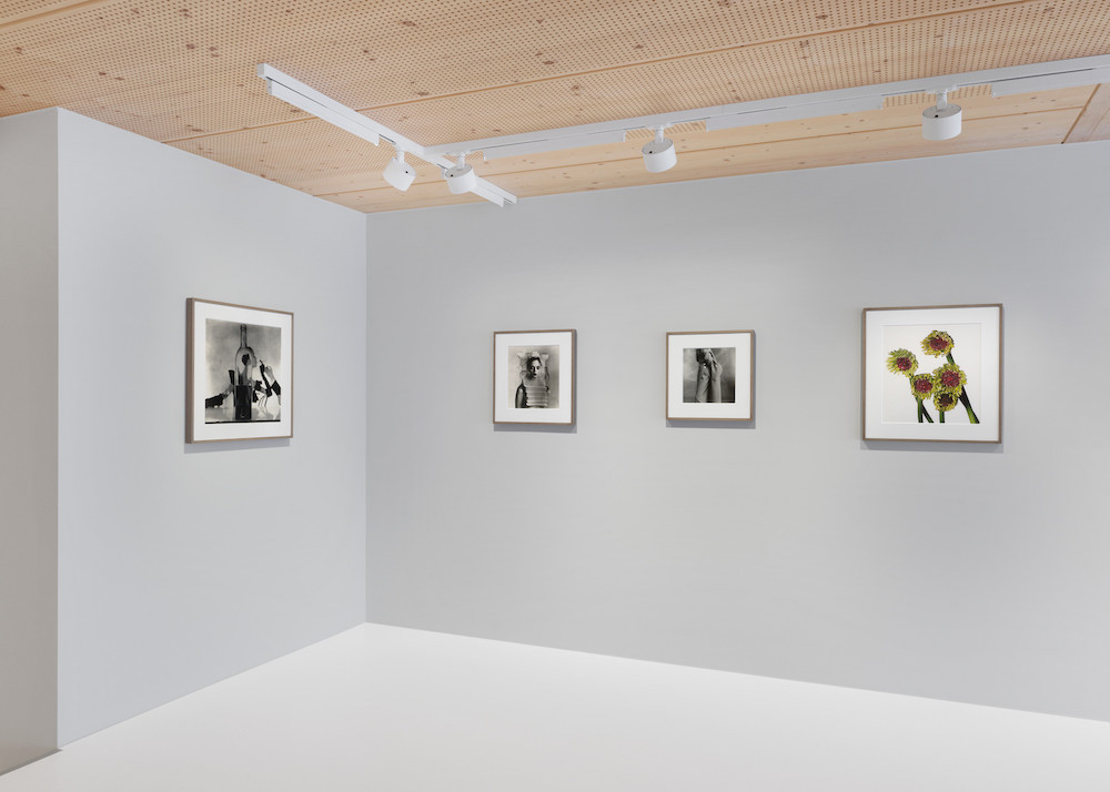 Irving Penn Gagosian 