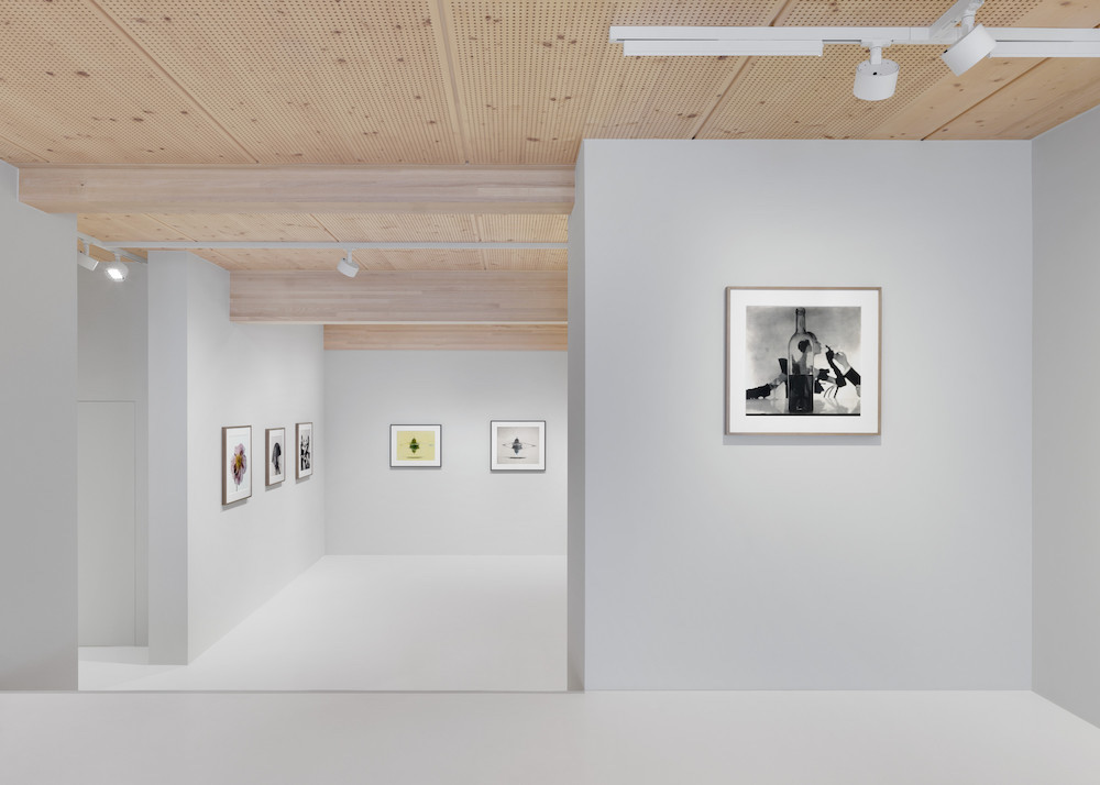 Irving Penn Gagosian 