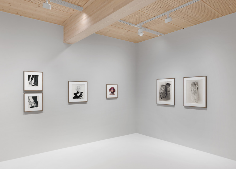 Irving Penn Gagosian 