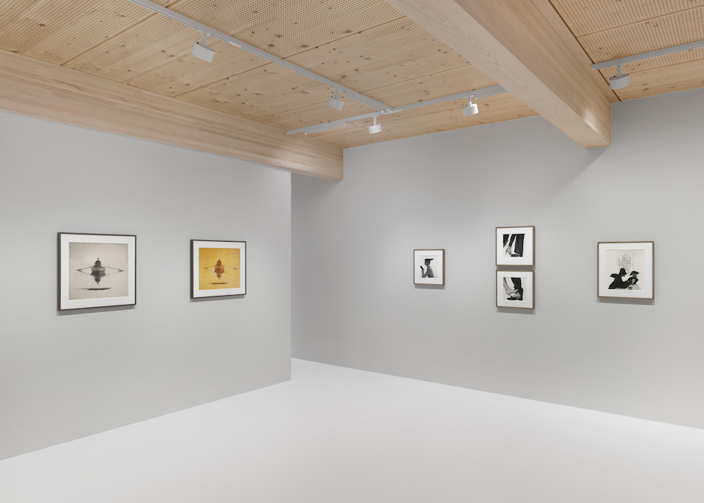 Irving Penn Gagosian 