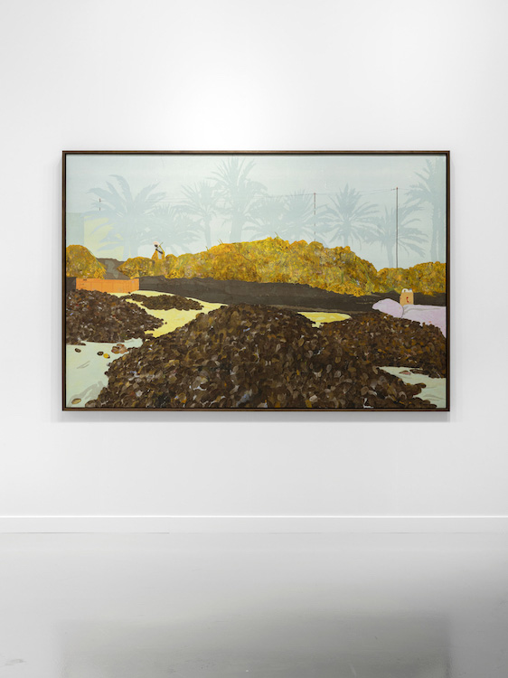 Hugo McCloud Sean Kelly 