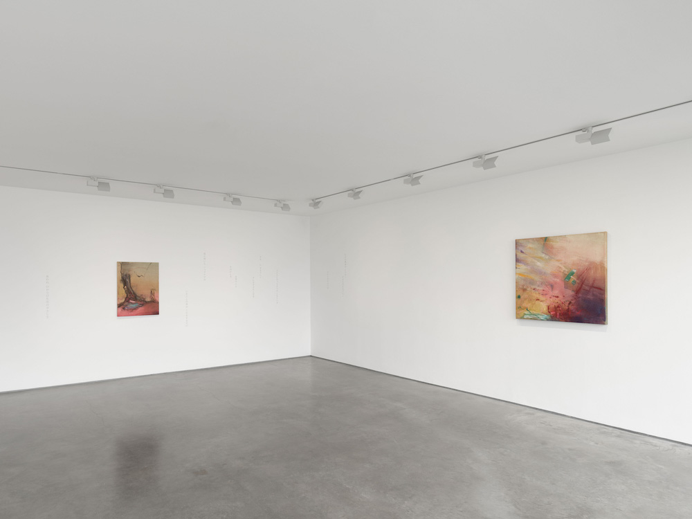 Leiko Ikemura Lisson Gallery 