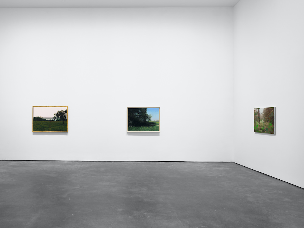 Gerhard Richter David Zwirner 