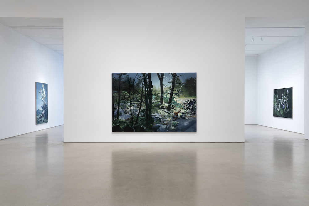 Emma Webster Petzel Gallery 