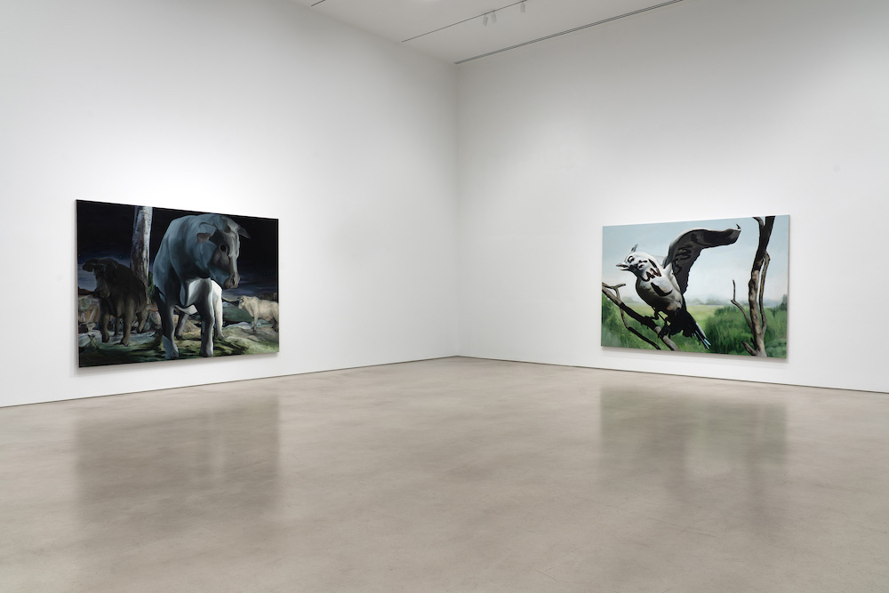 Emma Webster Petzel Gallery 