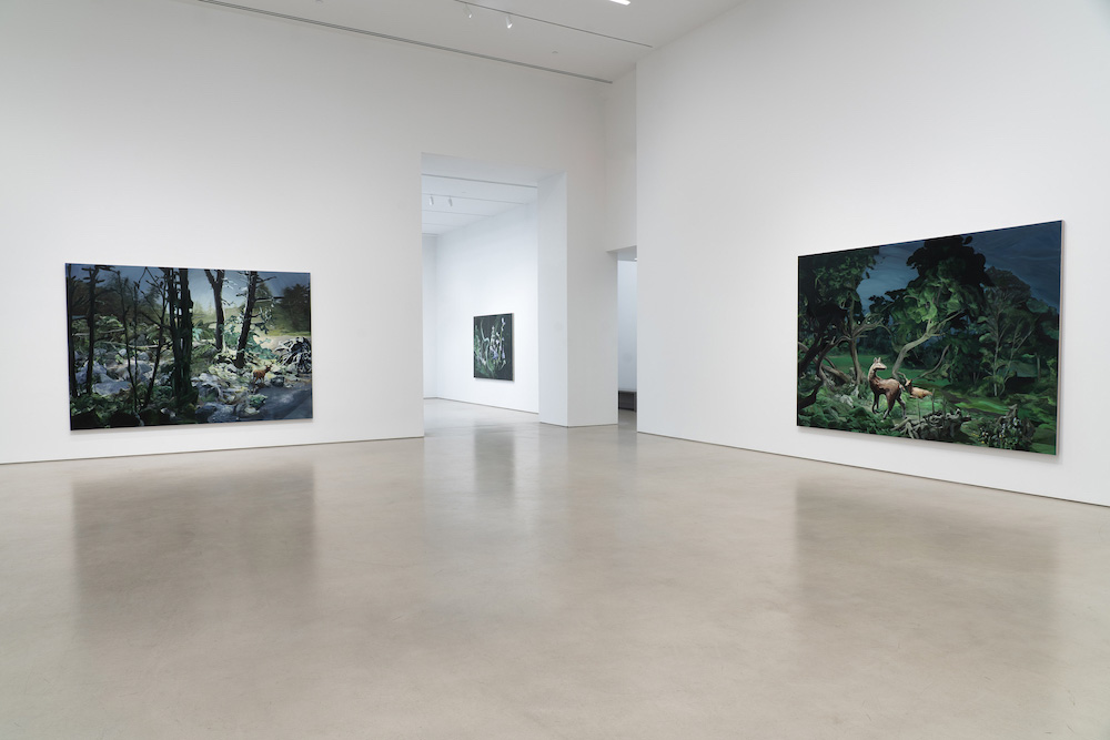Emma Webster Petzel Gallery 