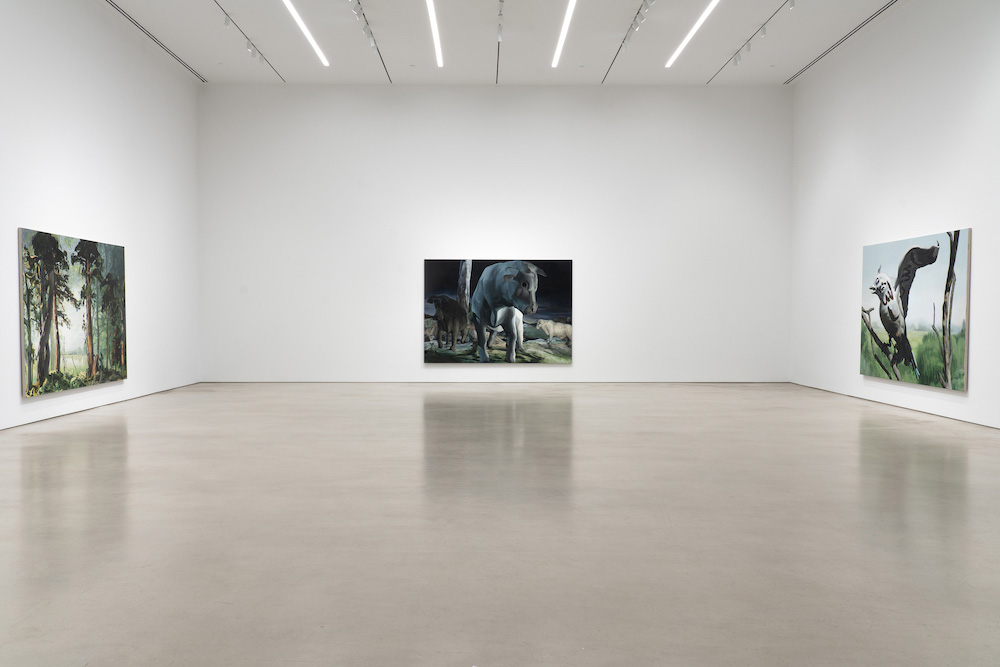 Emma Webster Petzel Gallery 