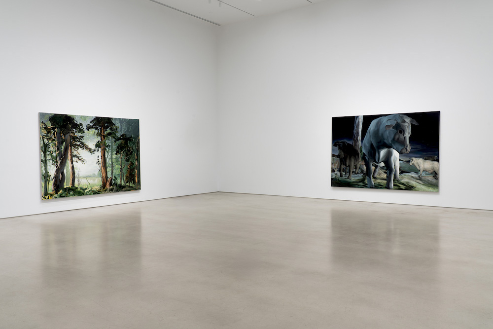 Emma Webster Petzel Gallery 