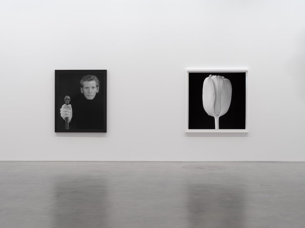 Robert Mapplethorpe Gladstone Gallery 