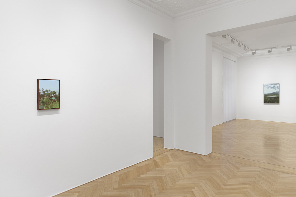 Jake Longstreth  Galerie Max Hetzler 