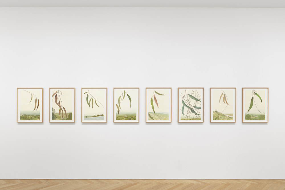 Jake Longstreth  Galerie Max Hetzler 