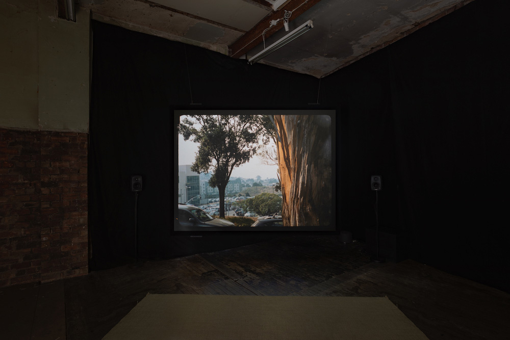 Luke Fowler The Modern Institute 