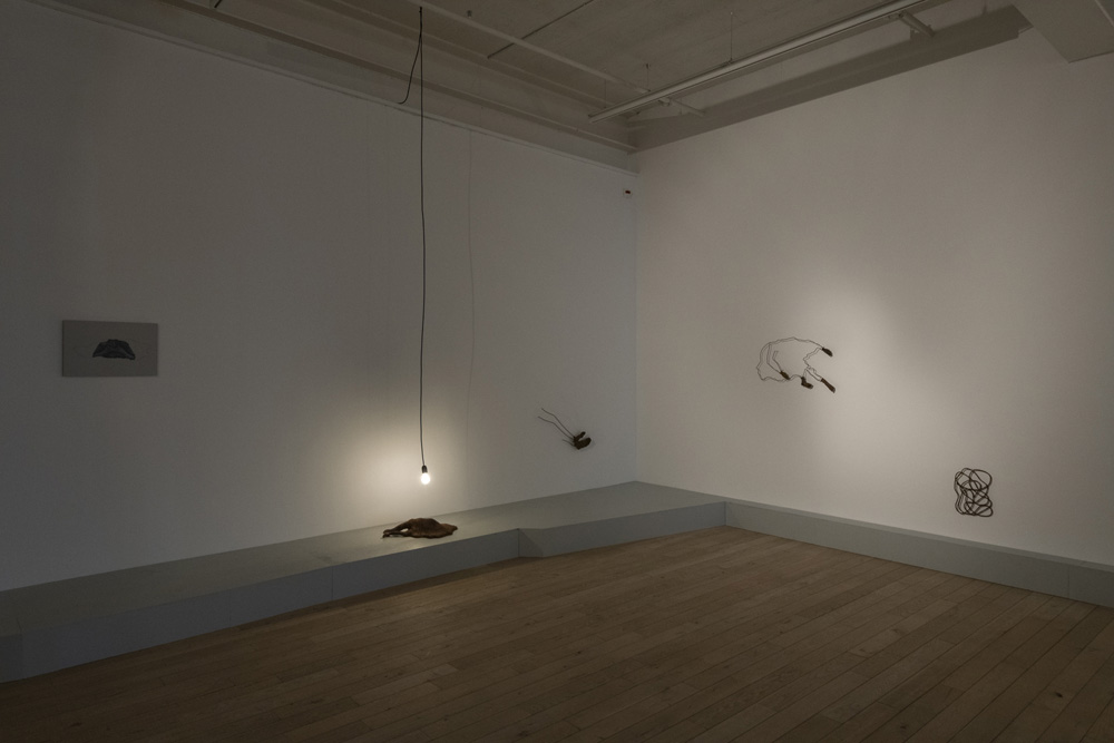 Amol K Patil Galerie Peter Kilchmann 