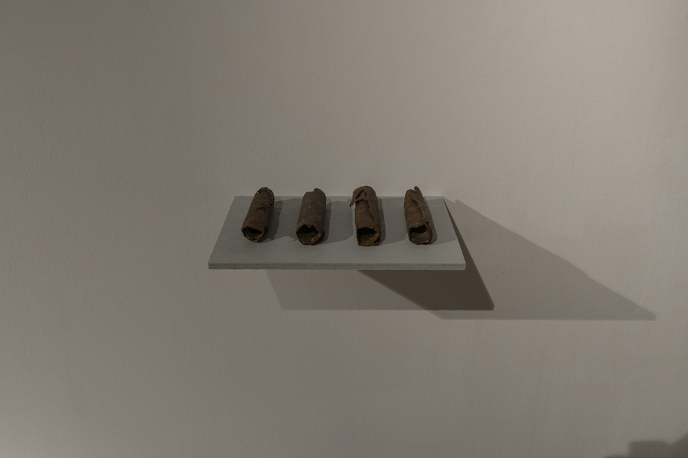 Amol K Patil Galerie Peter Kilchmann 