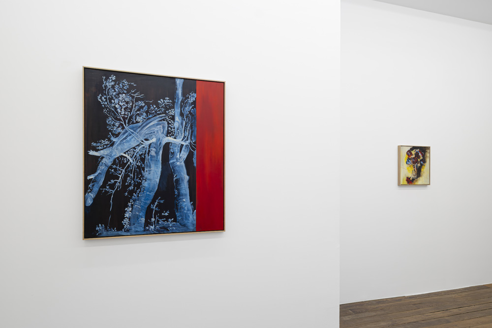 Uwe Wittwer Galerie Peter Kilchmann 