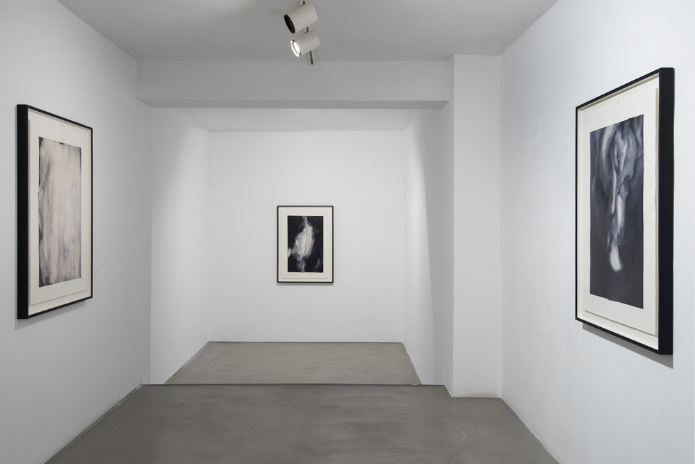 Alexandra Karakashian Sabrina Amrani 