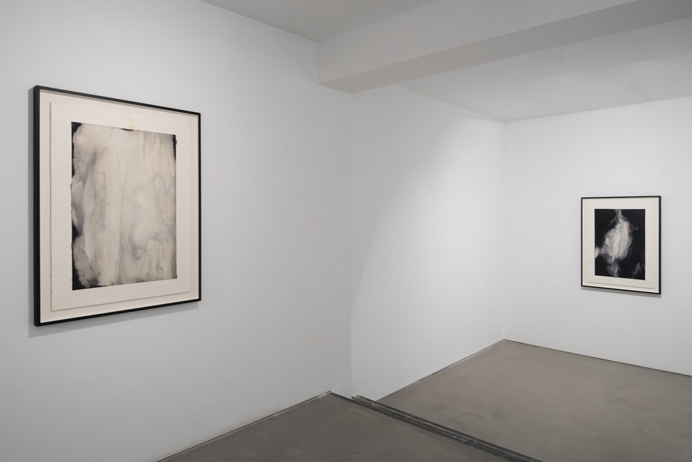 Alexandra Karakashian Sabrina Amrani 