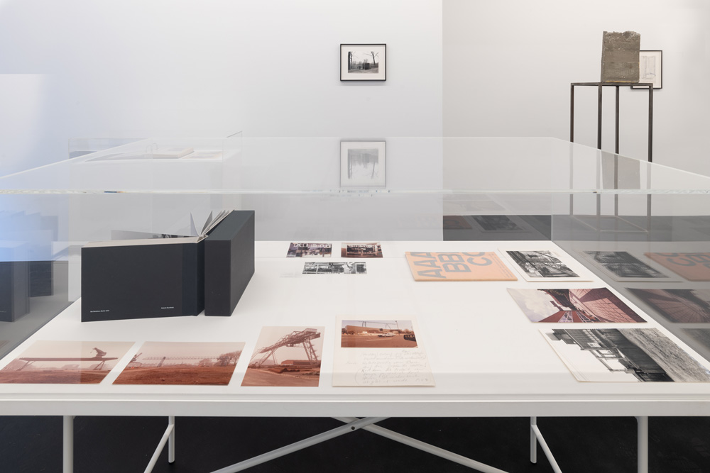 Isa Genzken Galerie Buchholz 