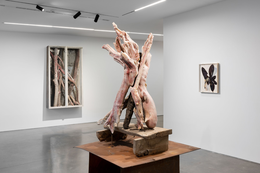 Berlinde De Bruyckere Pedro Cera 