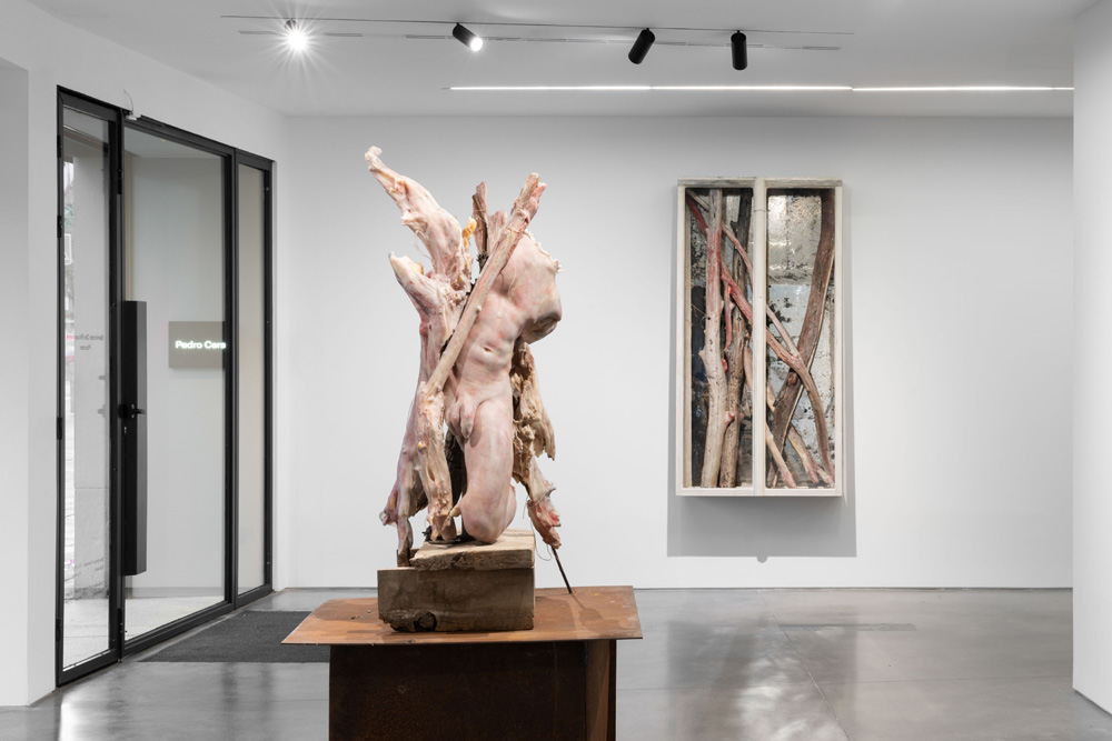 Berlinde De Bruyckere Pedro Cera 