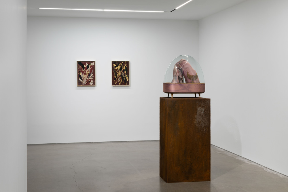 Berlinde De Bruyckere Pedro Cera 