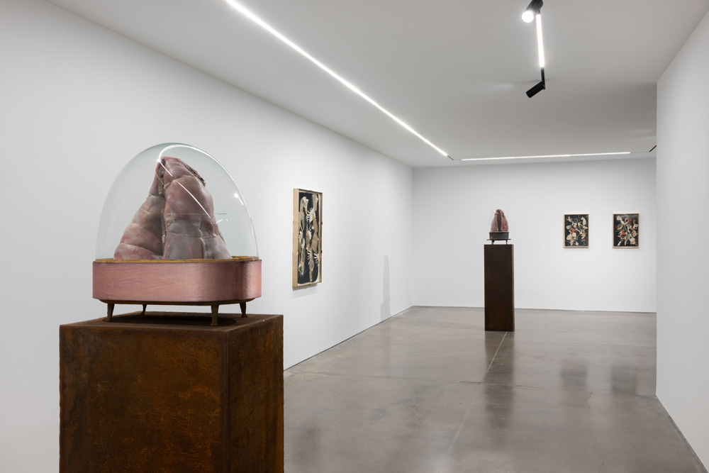 Berlinde De Bruyckere Pedro Cera 