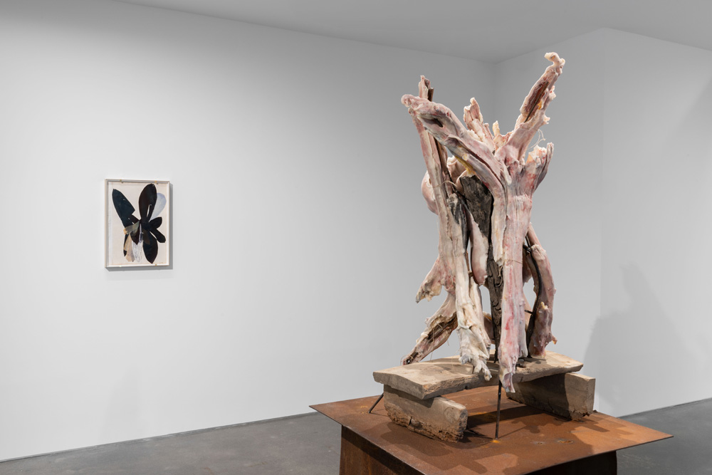 Berlinde De Bruyckere Pedro Cera 